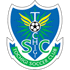 home team