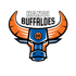 Hanoi buffalo